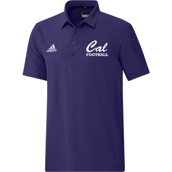 Caledonia Football M Stadium Coaches Polo - Purple