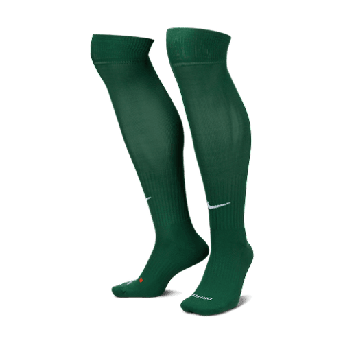 Rapids FC Game Socks - Green