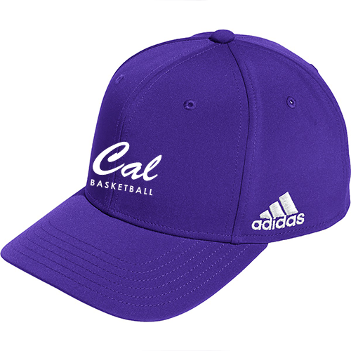 Caledonia BB Snapback Cap - Purple